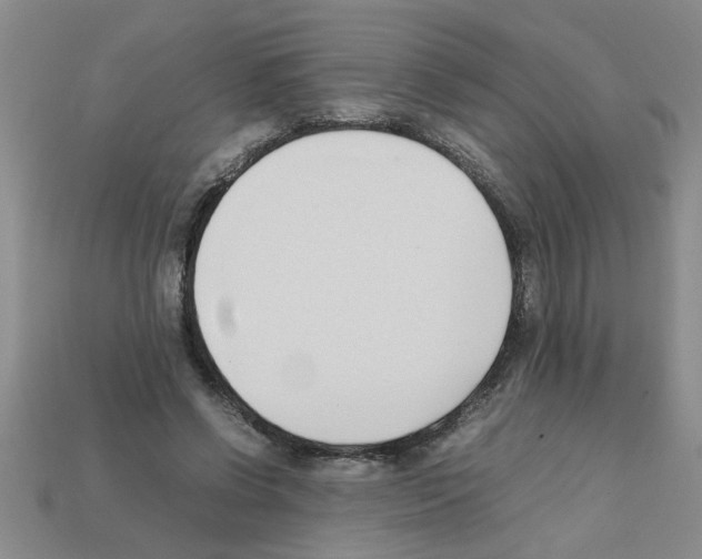 X0000111950542200909071322