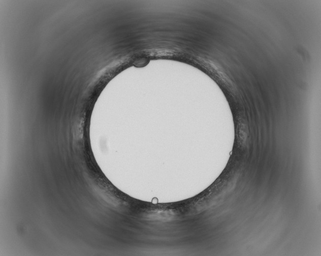 X0000111950543200909071322