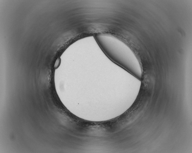 X0000111950544200909071322