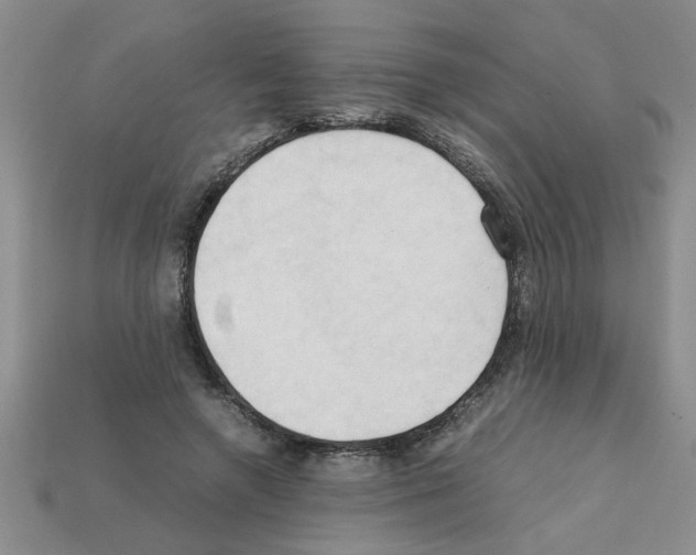 X0000111950546200909071322