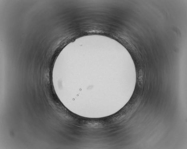 X0000111950547200909071322
