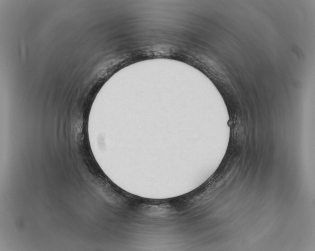 X0000111950548200909071322