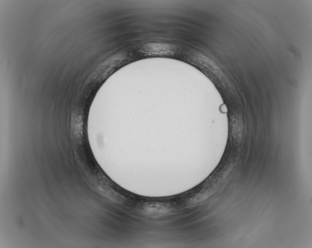 X0000111950549200909071322