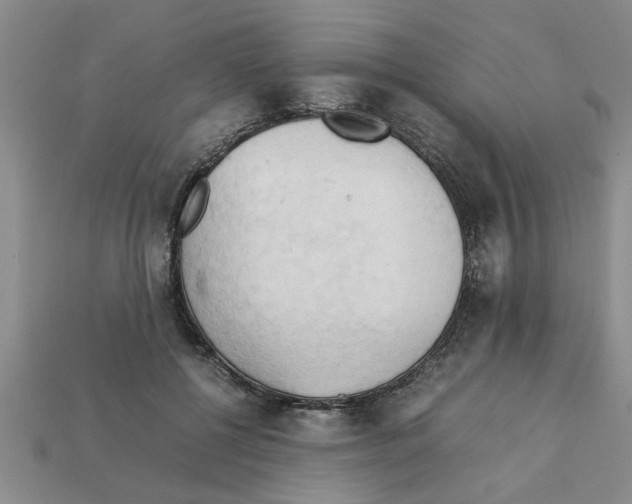 X0000111950552200909071322