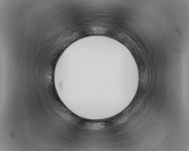X0000111950553200909071322