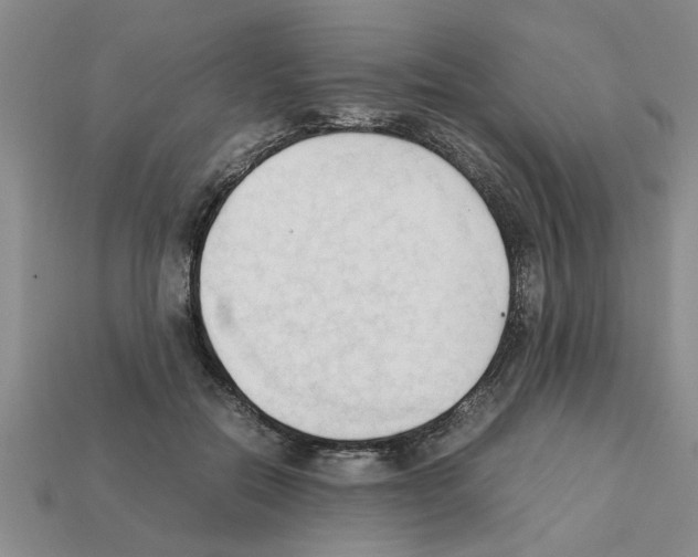 X0000111950554200909071322