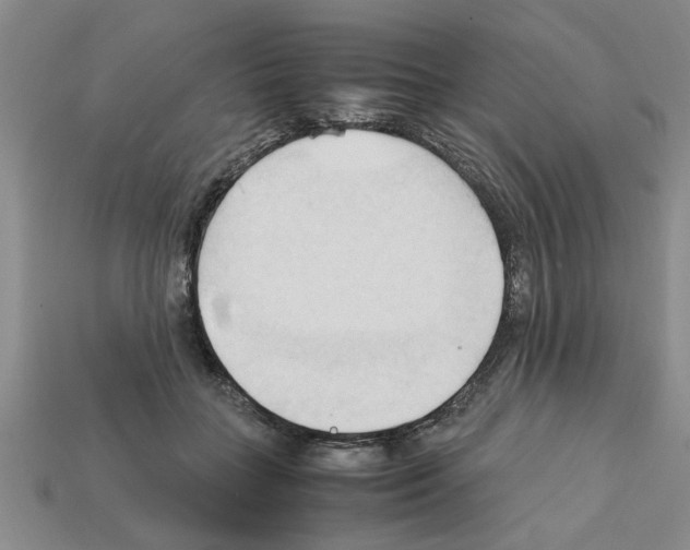 X0000111950555200909071322