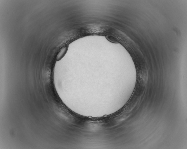 X0000111950556200909071322