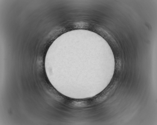 X0000111950557200909071322