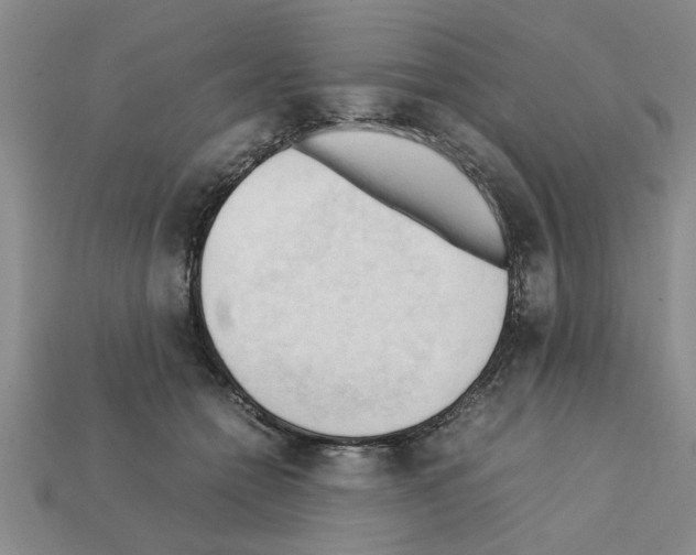 X0000111950558200909071322
