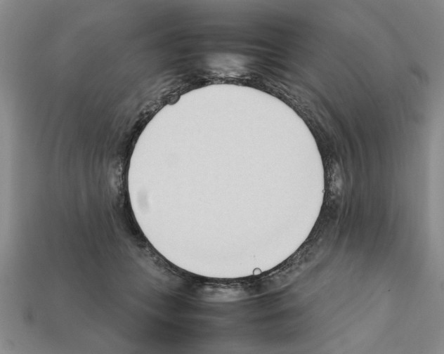 X0000111950559200909071322
