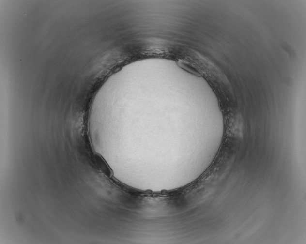 X0000111950560200909071322