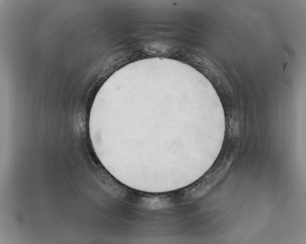 X0000111950561200909071322