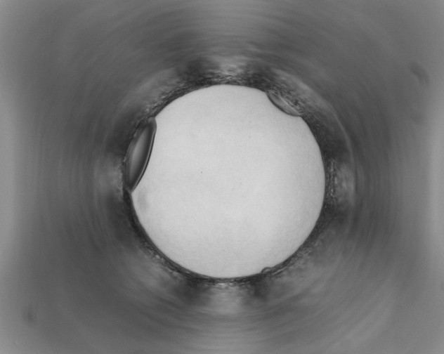 X0000111950562200909071322