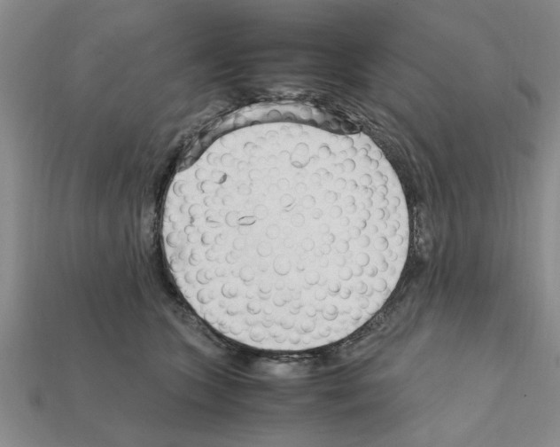 X0000111950563200909071322