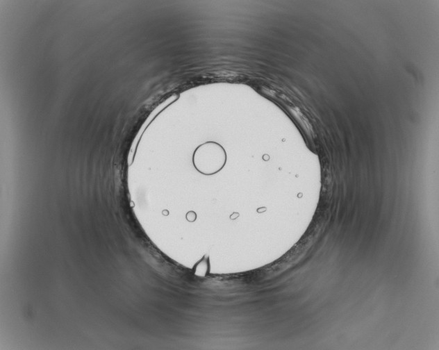 X0000111950568200909071322