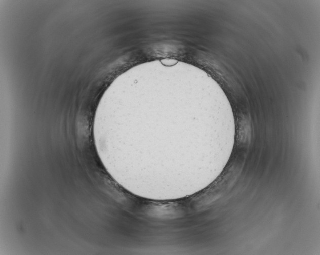 X0000111950569200909071322