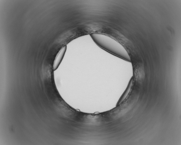 X0000111950570200909071322