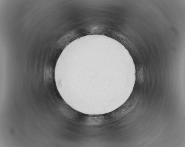 X0000111950571200909071322