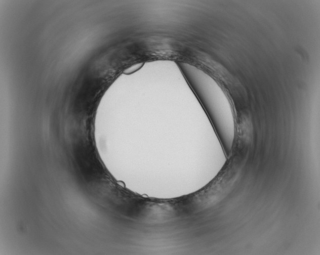 X0000111950572200909071322