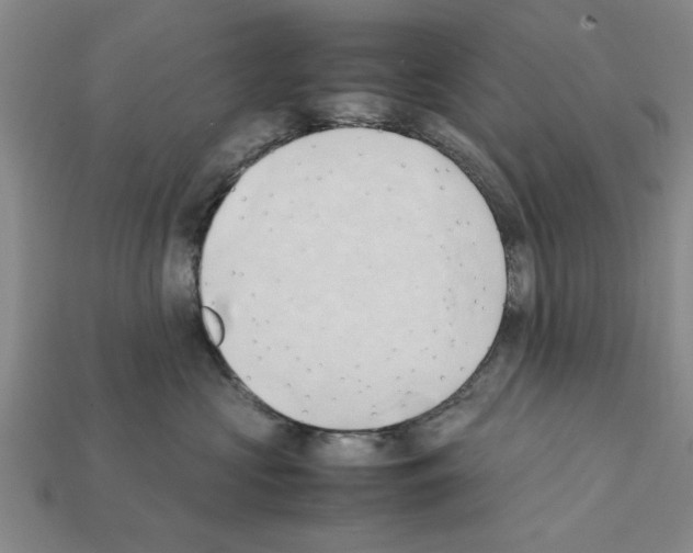 X0000111950573200909071322