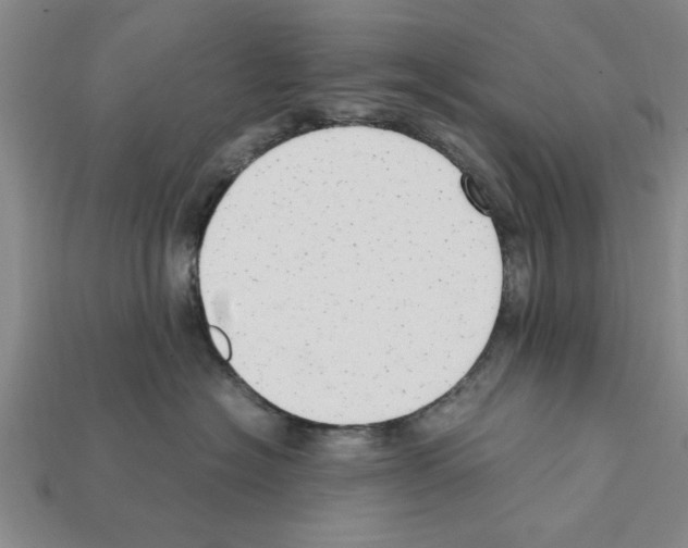 X0000111950574200909071322