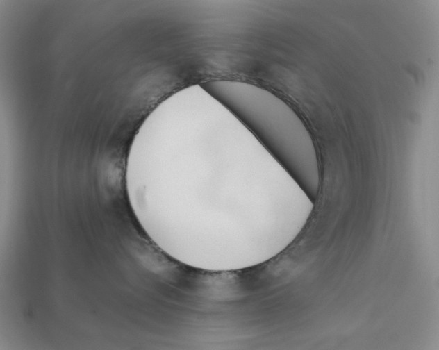 X0000111950576200909071322