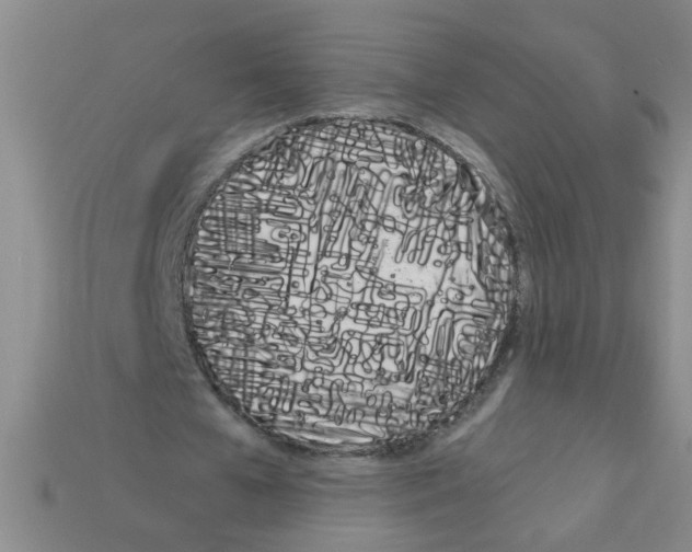 X0000111950577200909071321