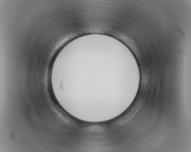 X0000111950578200909071321