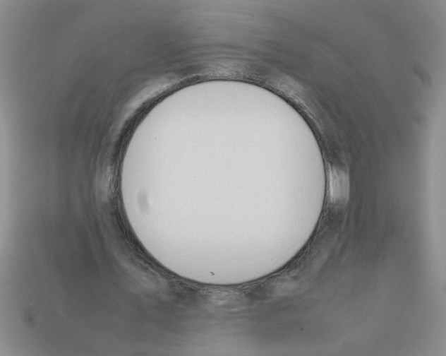 X0000111950579200909071321
