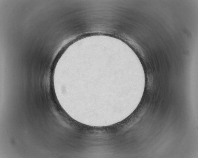 X0000111950580200909071321