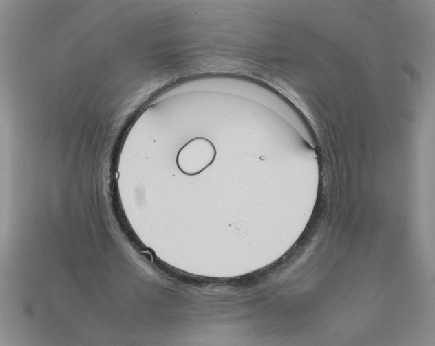 X0000111950581200909071321