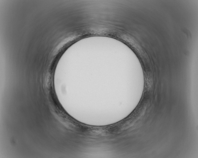 X0000111950583200909071321