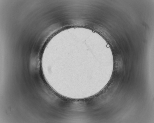 X0000111950584200909071321