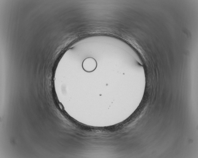 X0000111950585200909071321