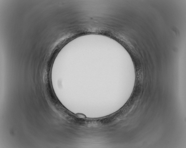 X0000111950587200909071321
