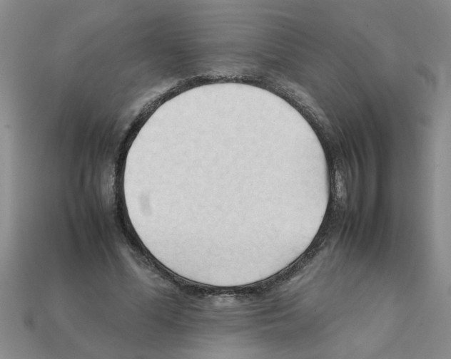 X0000111950588200909071321