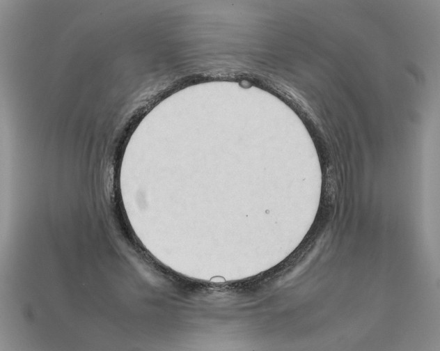 X0000111950589200909071321