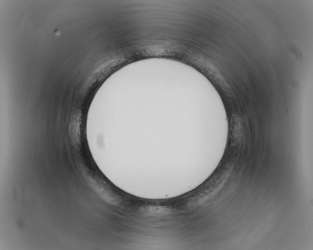 X0000111950590200909071321