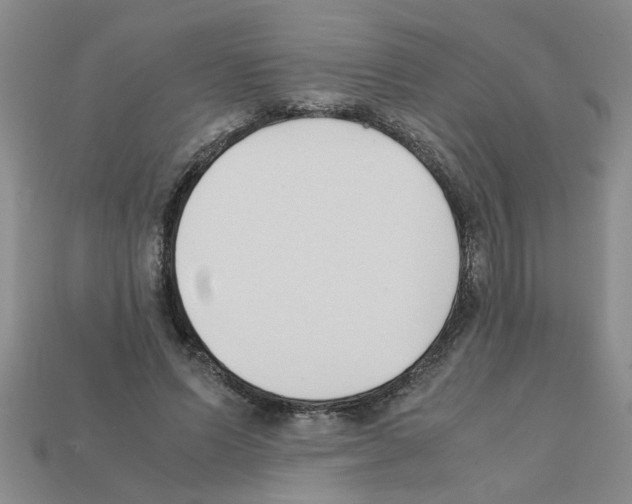 X0000111950591200909071321