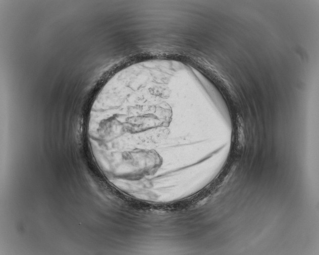 X0000111950592200909071321