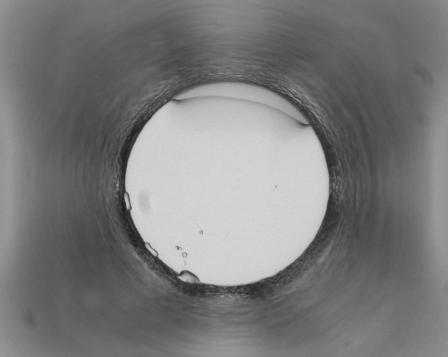 X0000111950593200909071321