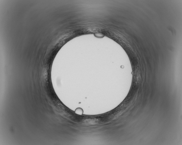 X0000111950595200909071321