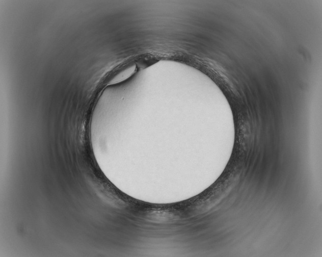 X0000111950596200909071321