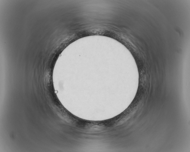 X0000111950597200909071321