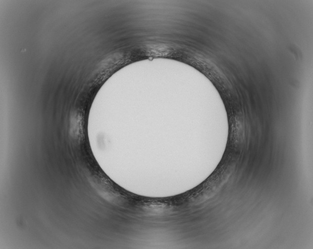 X0000111950598200909071321