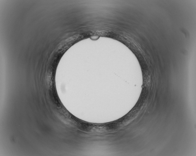X0000111950599200909071321