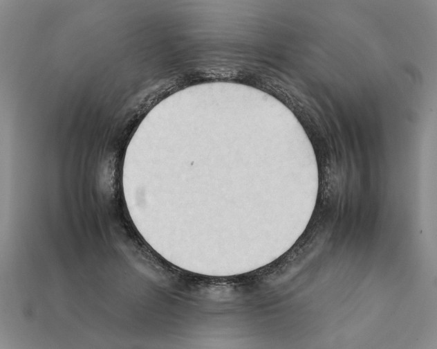 X0000111950600200909071321