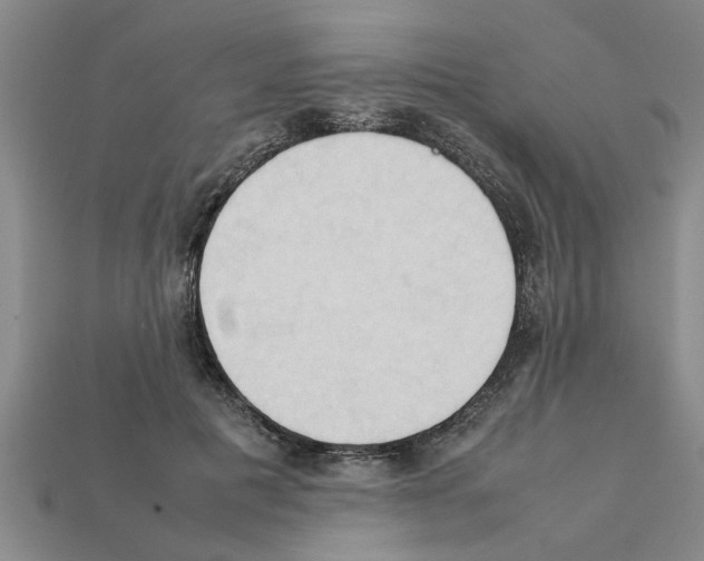 X0000111950601200909071321