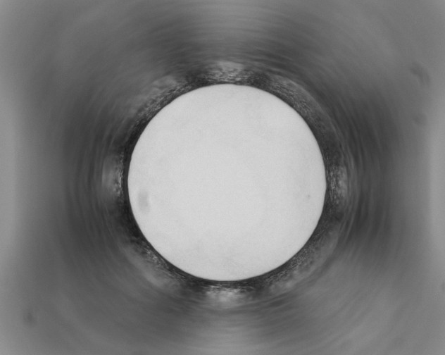X0000111950602200909071321
